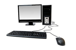 电脑与计算机 数字时代的孪生伙伴