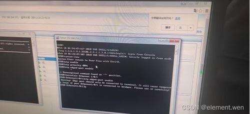 计算机网络实验四 配置vlan和生成树